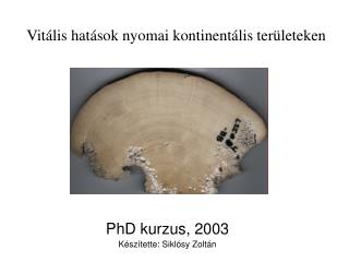 PhD kurzus, 2003 Készítette: Siklósy Zoltán