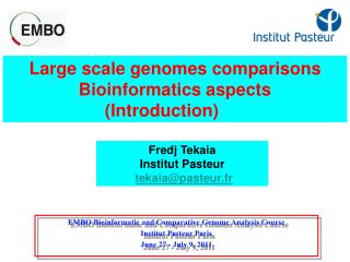 Large scale genomes comparisons Bioinformatics aspects (Introduction)