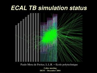 ECAL TB simulation status