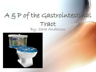 A &amp; P of the Gastrointestinal Tract