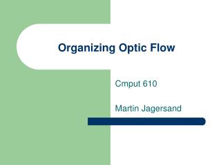 Organizing Optic Flow
