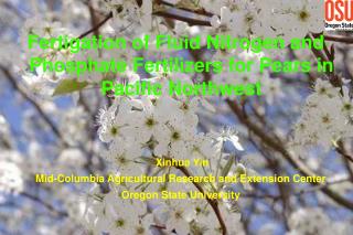 Fertigation of Fluid Nitrogen and Phosphate Fertilizers for Pears in Pacific Northwest