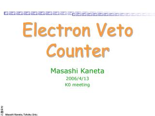 Electron Veto Counter