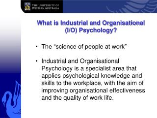 What is Industrial and Organisational (I/O) Psychology?