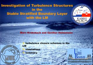 Investigation of Turbulence Structures in the Stable Stratified Boundary Layer with the LM