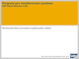 Program pro monitorování systému SAP Basis Release 4.6C