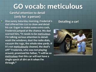 GO vocab: meticulous
