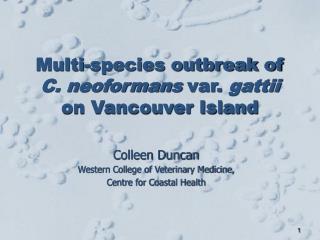 Multi-species outbreak of C. neoformans var. gattii on Vancouver Island