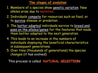 Members of a species show genetic variation . New alleles arise due to mutation .