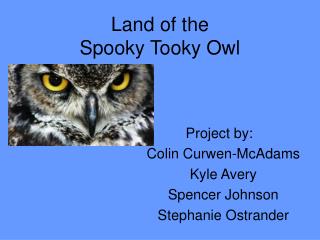 Land of the Spooky Tooky Owl