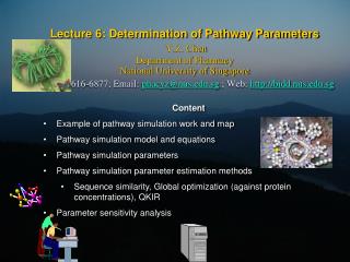 Content Example of pathway simulation work and map Pathway simulation model and equations