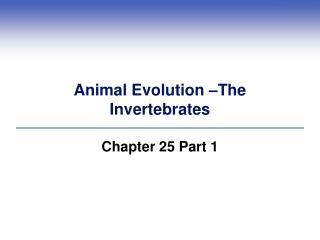 Animal Evolution –The Invertebrates