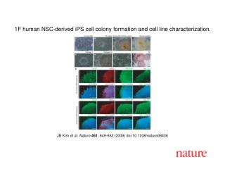 JB Kim et al. Nature 461 , 649 - 653 (2009) doi:10.1038/nature08 436