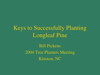 Keys to Successfully Planting Longleaf Pine