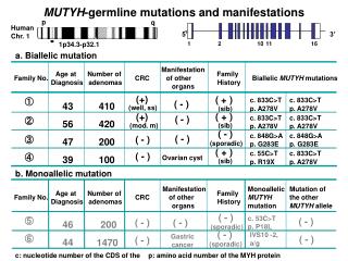 MUTYH -germline mutations and manifestations