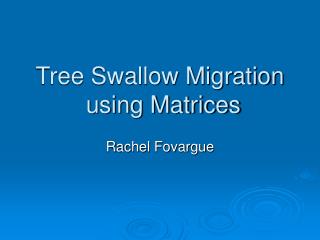 Tree Swallow Migration using Matrices