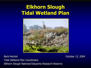Elkhorn Slough Tidal Wetland Plan