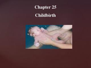 Chapter 25 Childbirth