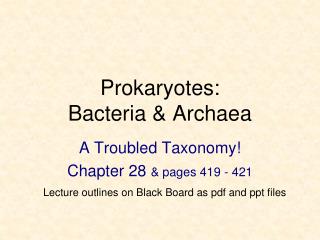 Prokaryotes: Bacteria &amp; Archaea