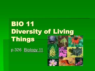 BIO 11 Diversity of Living Things