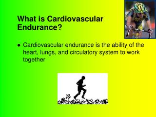 What is Cardiovascular Endurance?