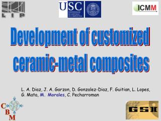 Development of customized ceramic-metal composites