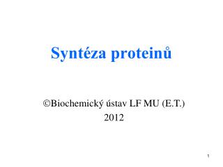 Syntéza proteinů