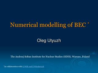 Numerical modelling of BEC *