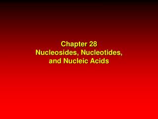 Chapter 28 Nucleosides, Nucleotides, and Nucleic Acids