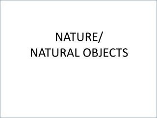 NATURE/ NATURAL OBJECTS