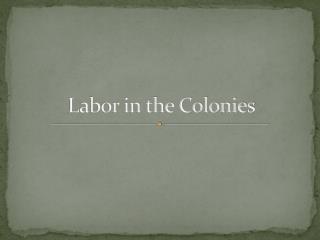 Labor in the Colonies