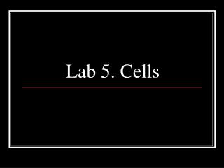 Lab 5. Cells