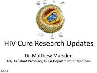 HIV Cure Research Updates