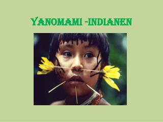 Yanomami -Indianen
