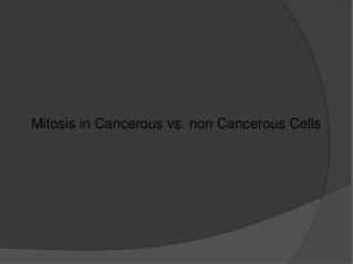 Mitosis in Cancerous vs. non Cancerous Cells