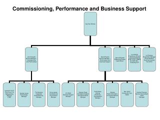 Commissioning, Performance and Business Support
