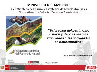 MINISTERIO DEL AMBIENTE Vice Ministerio de Desarrollo Estratégico de Recursos Naturales