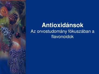 Antioxidánsok Az orvostudomány fókuszában a flavonoidok