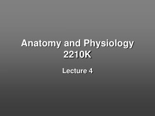 Anatomy and Physiology 2210K