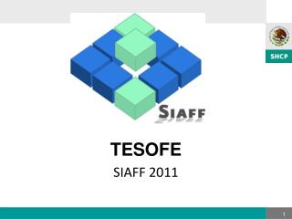 TESOFE SIAFF 2011