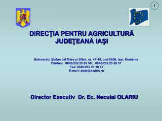 Director Executiv Dr. Ec. Neculai OLARIU
