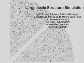 Large-scale Structure Simulations