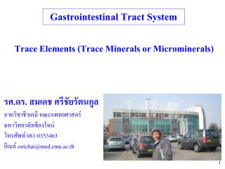 Gastrointestinal Tract System