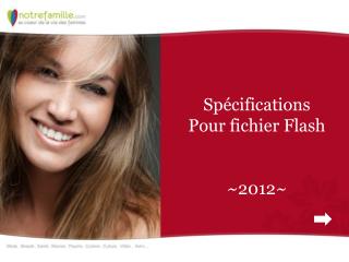 Spécifications Pour fichier Flash ~2012~