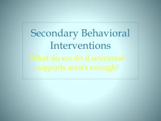 Secondary Behavioral Interventions