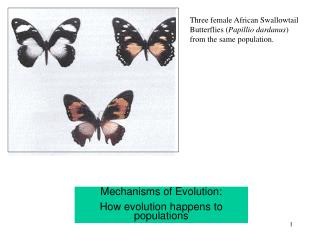 Mechanisms of Evolution: How evolution happens to populations