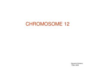 CHROMOSOME 12