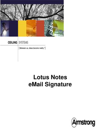 ibm notes signature
