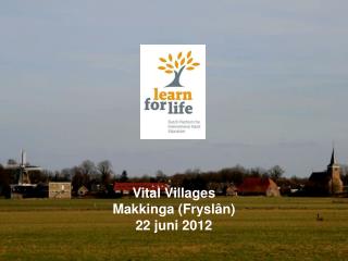 Vital Villages Makkinga ( Fryslân ) 22 juni 2012