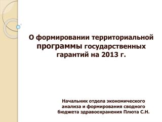 О формировании территориальной программы государственных гарантий на 2013 г.